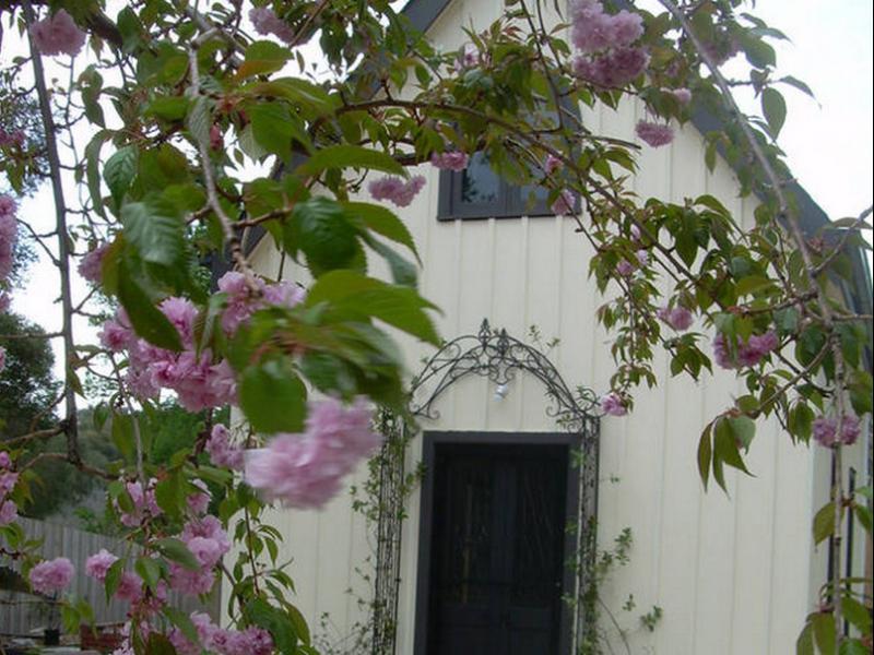 Silverleaf Cottage Rye Extérieur photo